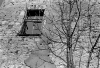 Mostar - wall, window and tree