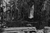 Vukovar - broken fence